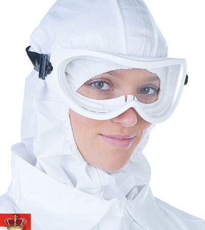 Bioclean Clearview Autoclaveable Goggle